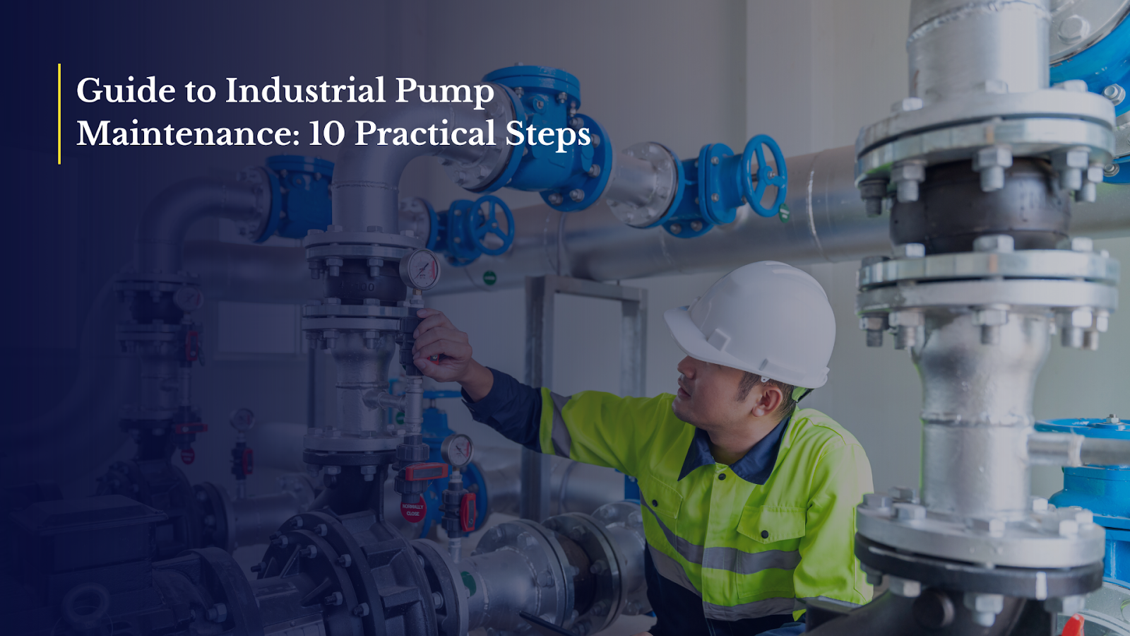 Guide to Industrial Pump Maintenance: 10 Practical Steps 