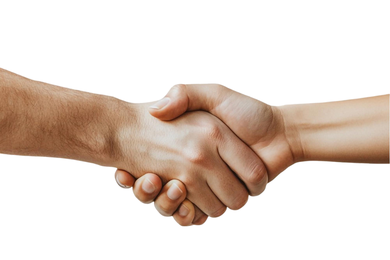 Client views and accepts proposal