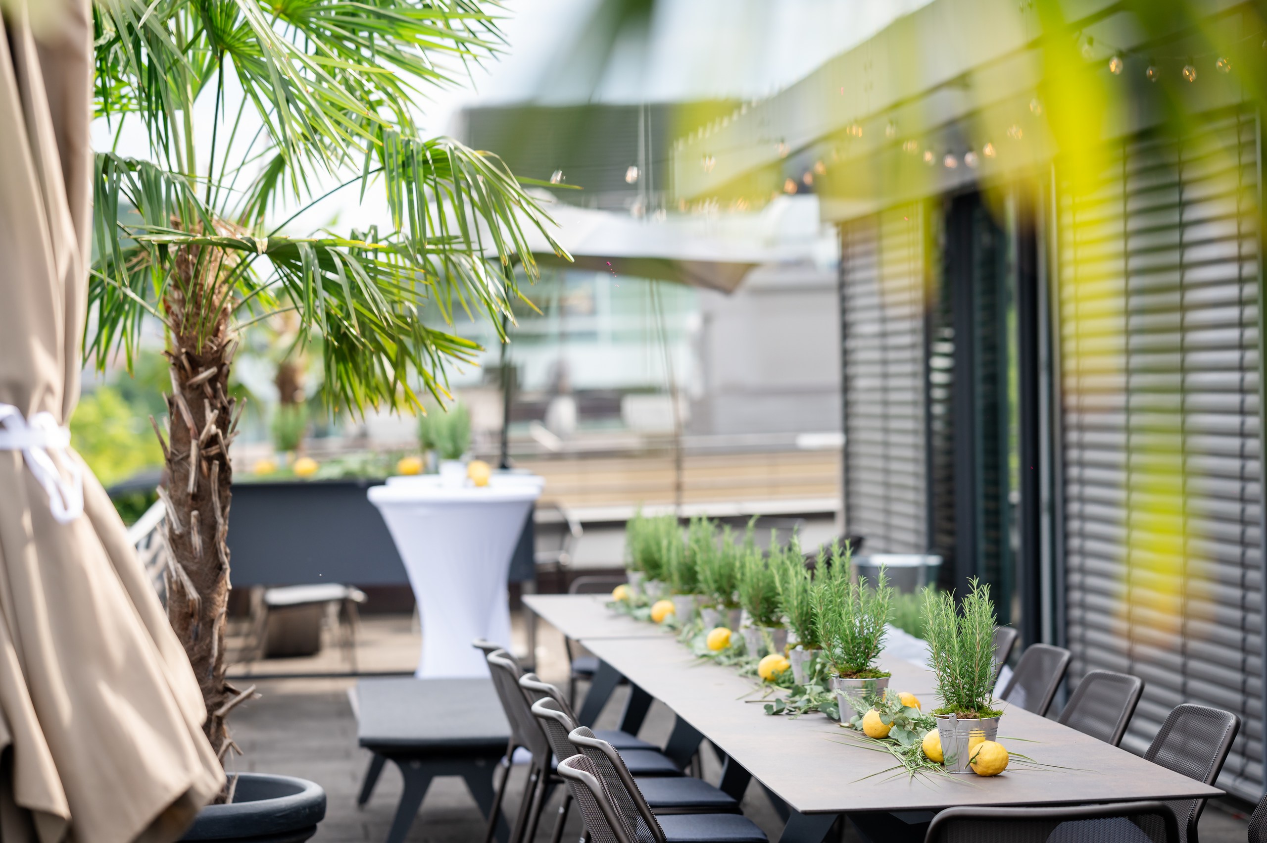 DG Fotografie: Moderne Businessfoto von stilvoller Terrasse mit Zitrone