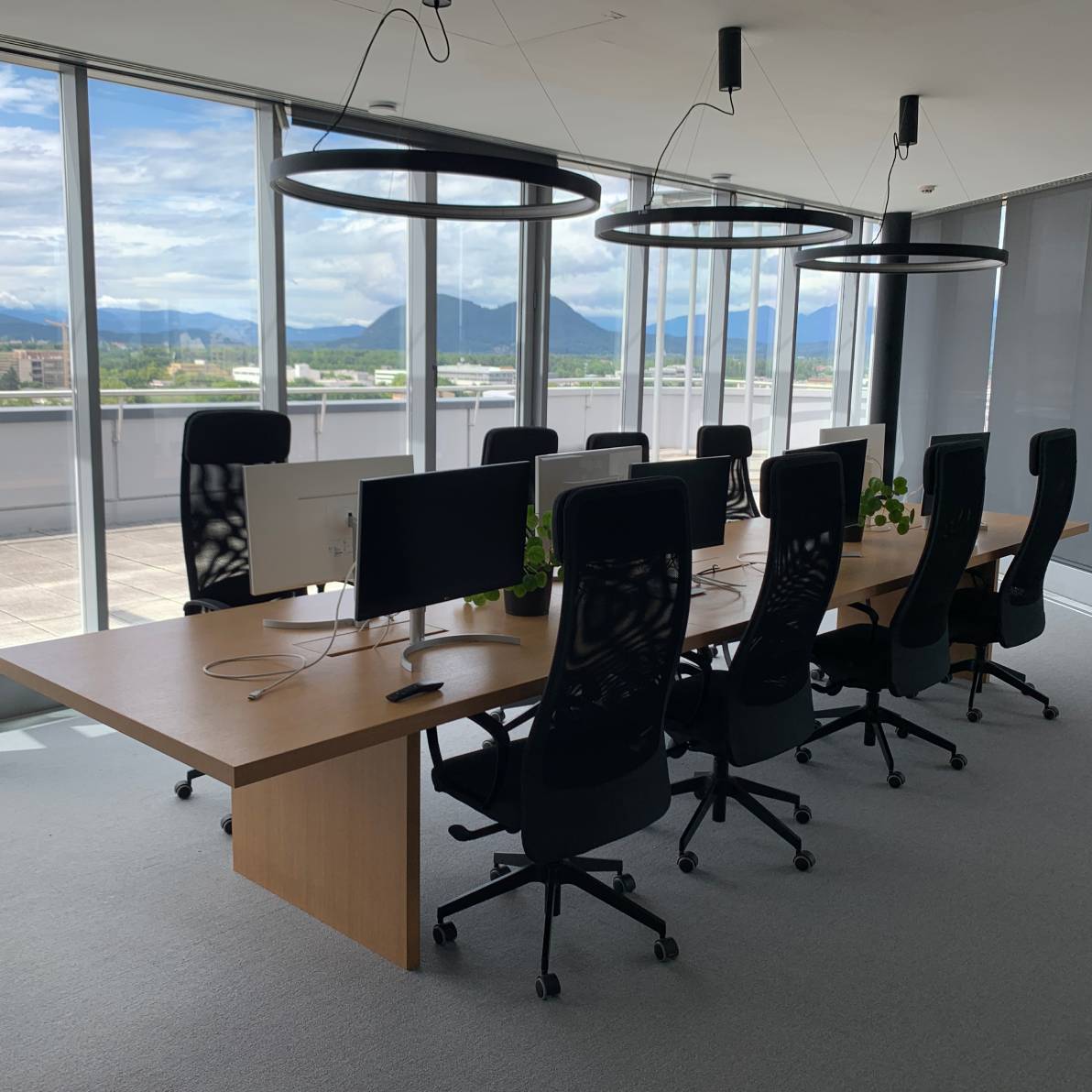 Stekleni dvor, Dunajska