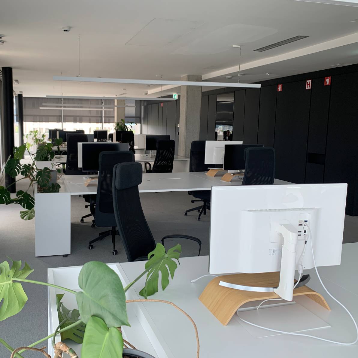 Stekleni dvor, Dunajska