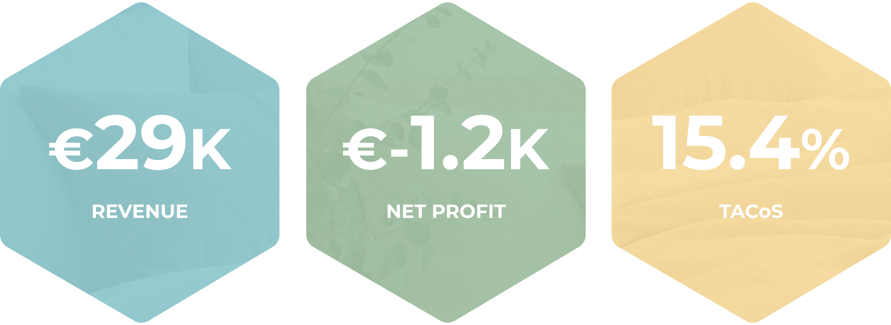 Monthly results before: revenue 29K, net profit -1.2K, TACoS 15.4%