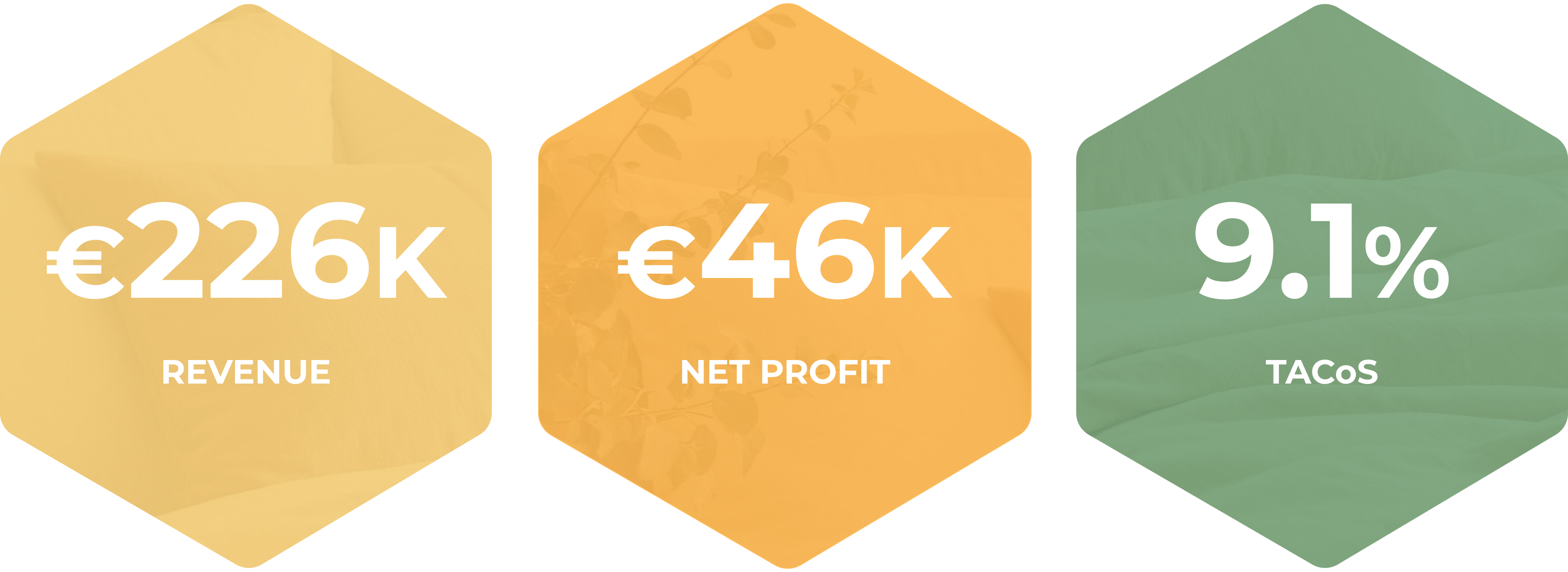 Monthly results after: revenue 226K, net profit 46K, TACoS 9.1%