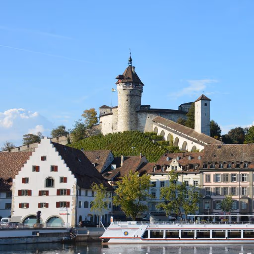 Canton de Schaffhouse