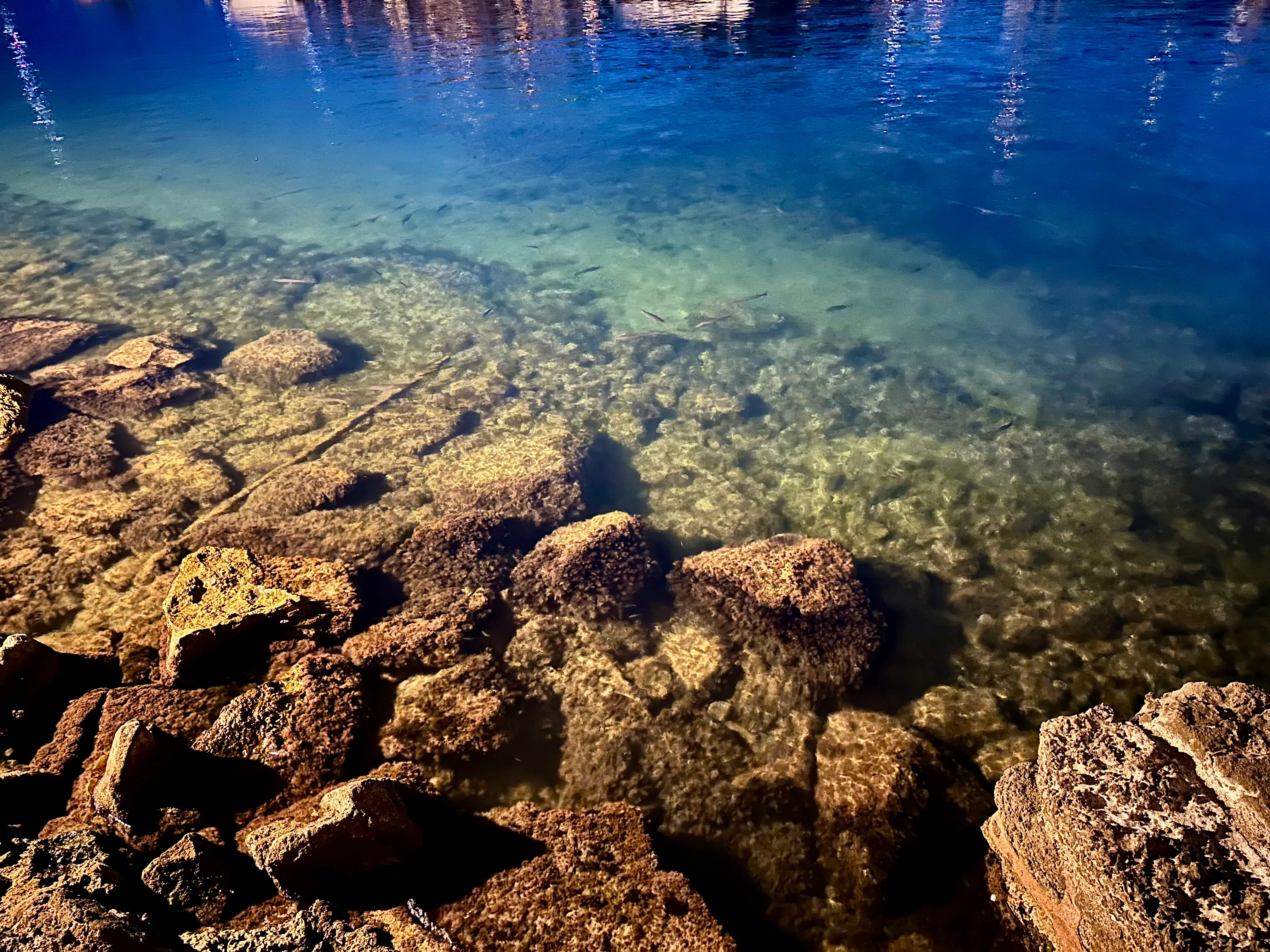 Rocky underwater shoreline with clear blue water and submerged stones