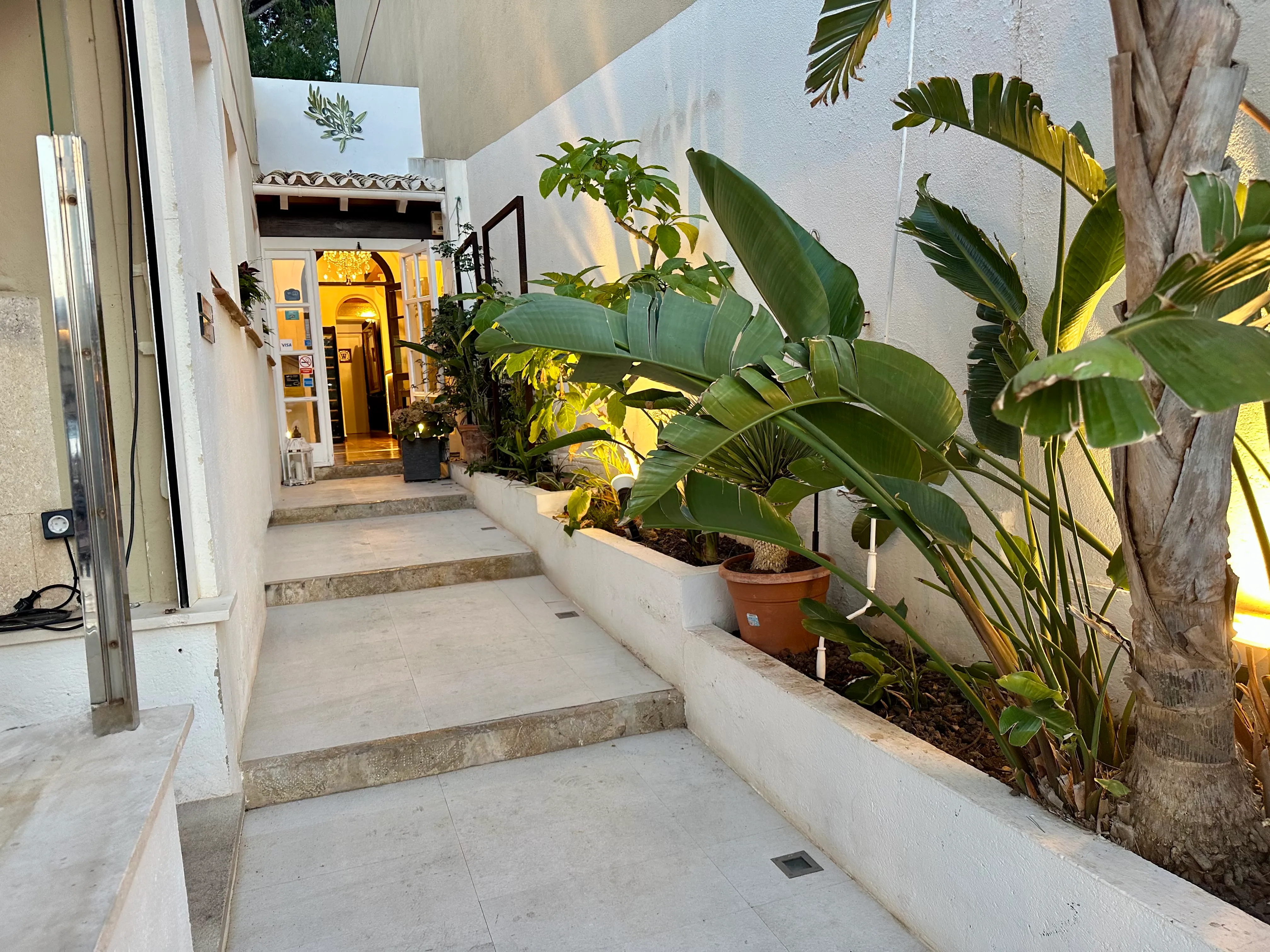 Entrance with white walls, stone steps, and lush tropical plants in pots