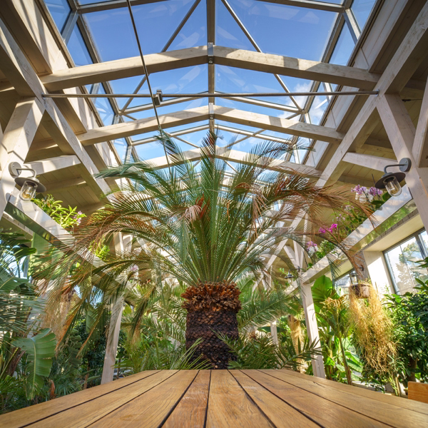 Large glass roof conservatory with tropical plants and a wooden table in natural light.