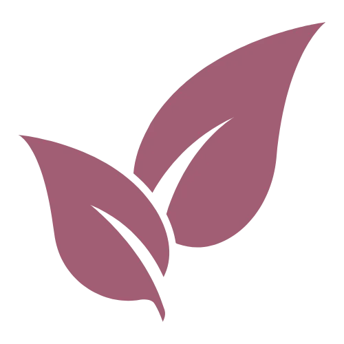 Icon mit zwei stilisierten Blättern – Symbol für Natürlichkeit, Achtsamkeit und Nachhaltigkeit.