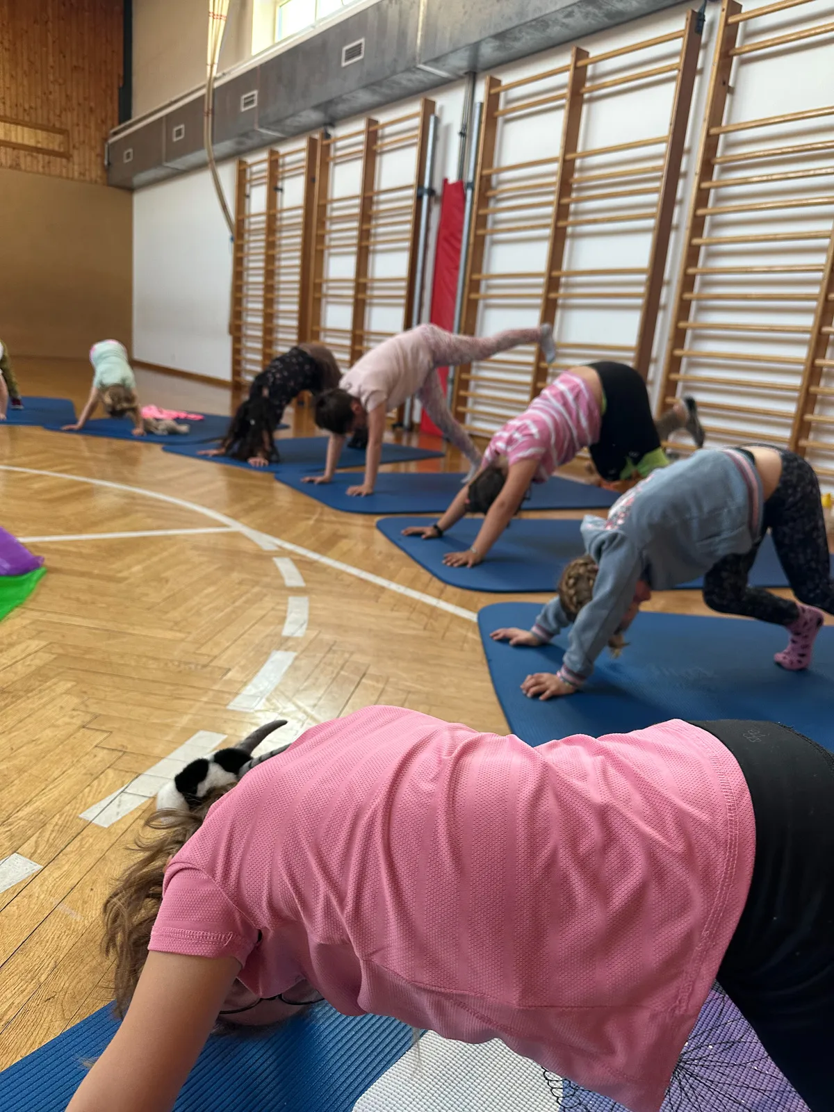 Kinderyoga St. Pölten – Kinder üben den herabschauenden Hund.