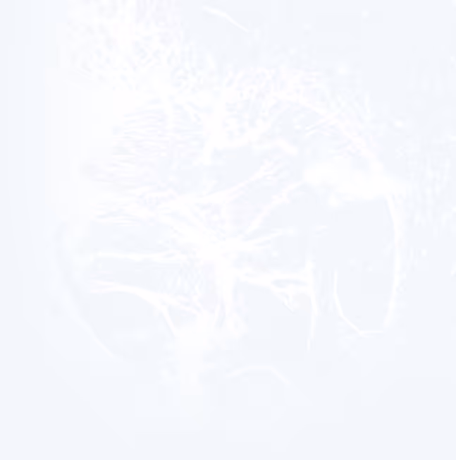 Blank white image with no discernible content or details