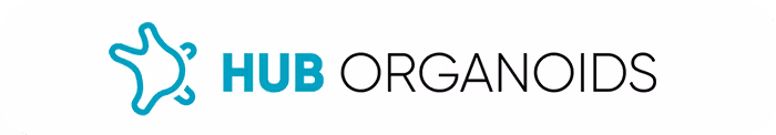 Hub Organoids logo with stylized star-like icon in teal color