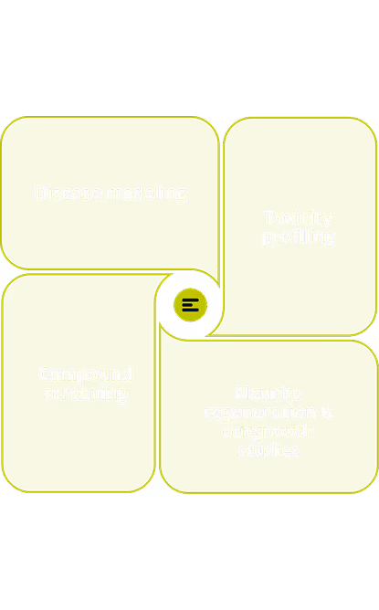 Diagram with four light yellow panels connected by green borders