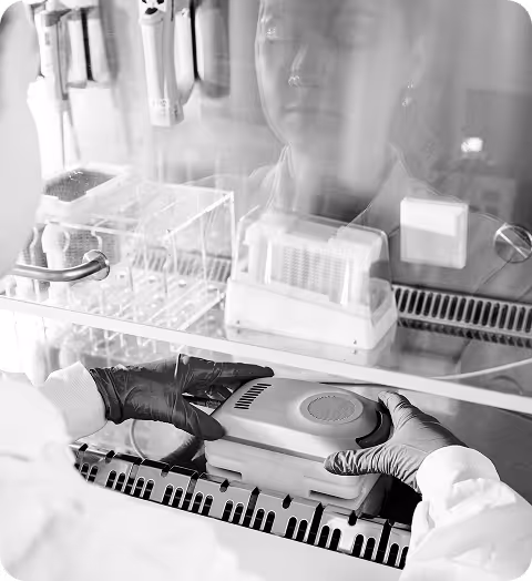 Scientist working with gloved hands in a sterile laboratory setting