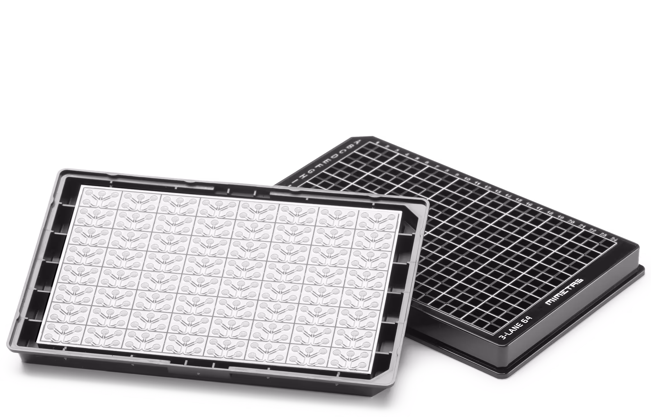 Two black and white seed starting trays with grid patterns