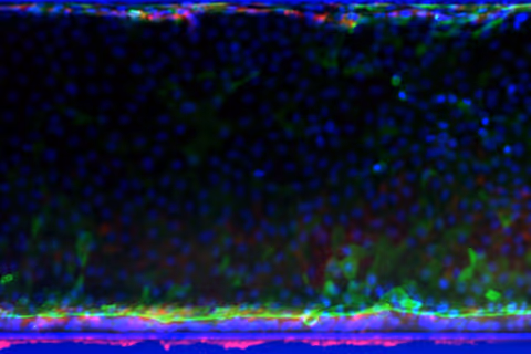 Blurry digital glitch with colorful blue, green, and red distorted pixels