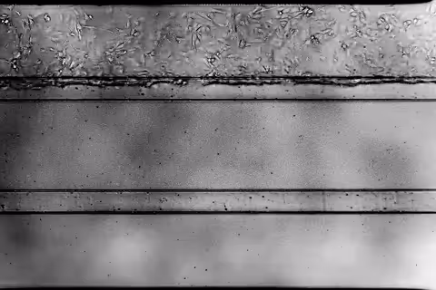 Black and white textured surface with horizontal lines and distressed edges