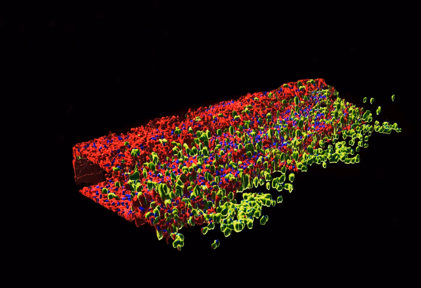 3D molecular visualization with red, green, and blue clustered structures