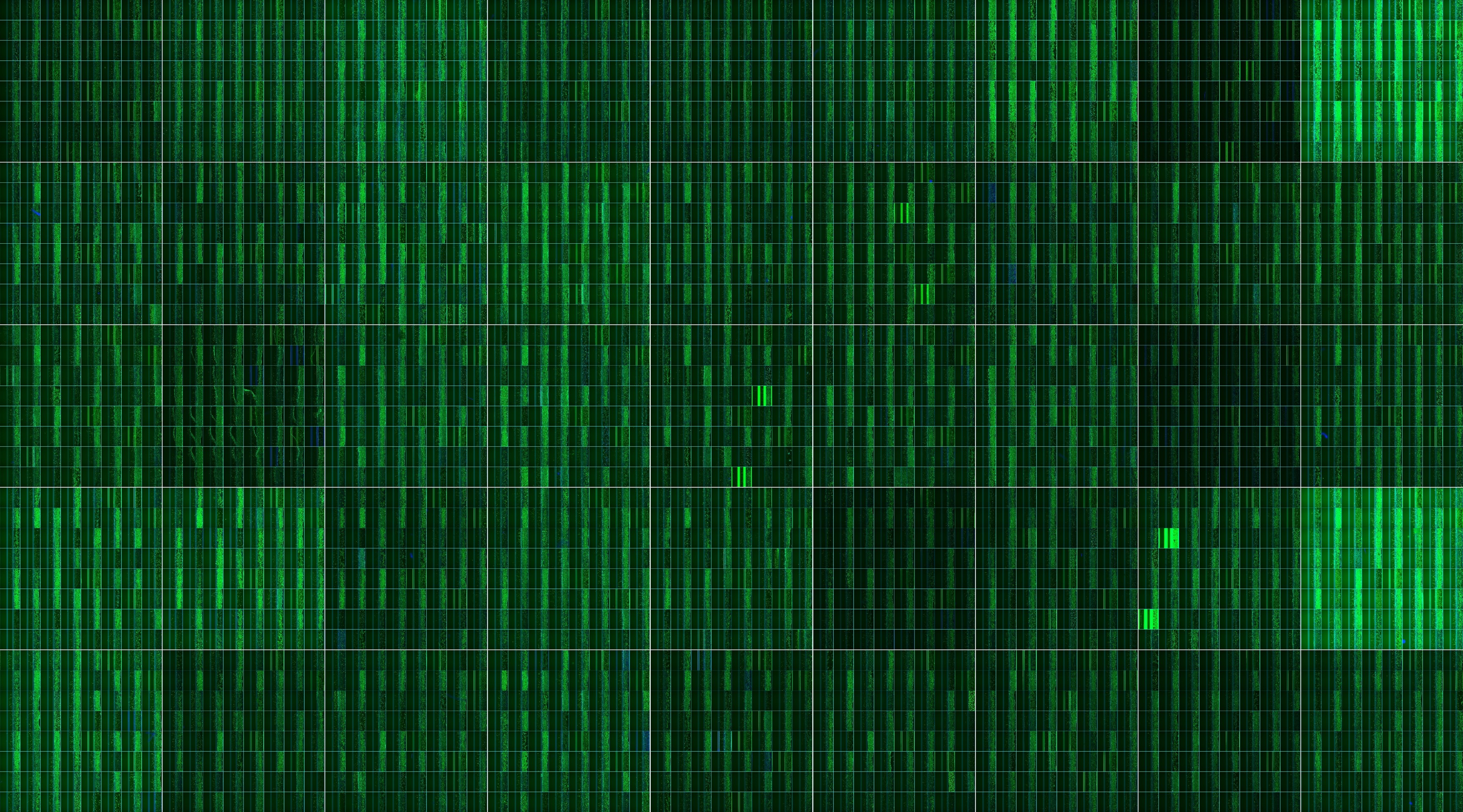 Green digital matrix background with vertical streaming binary code pattern