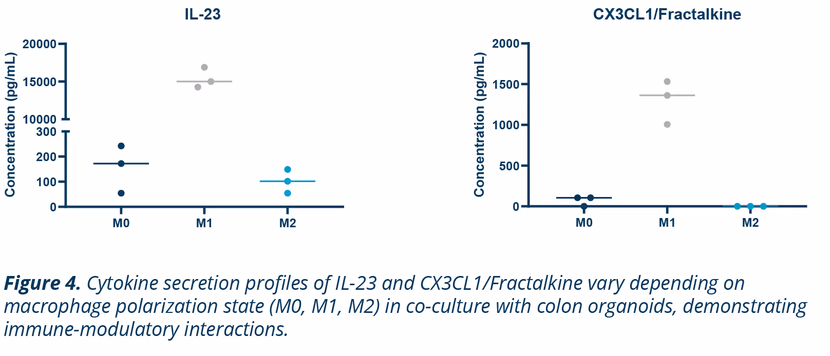 Cytokine secretion graphs showing IL-23 and CX3CL1 levels in macrophages