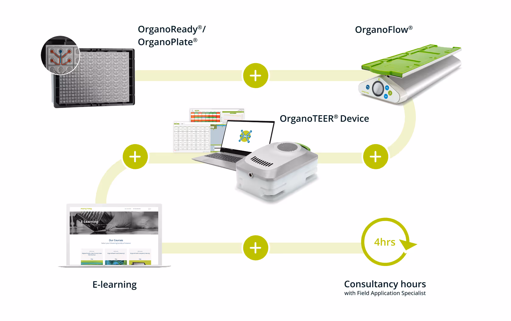 OrganoReady product workflow with devices, e-learning, and consultancy