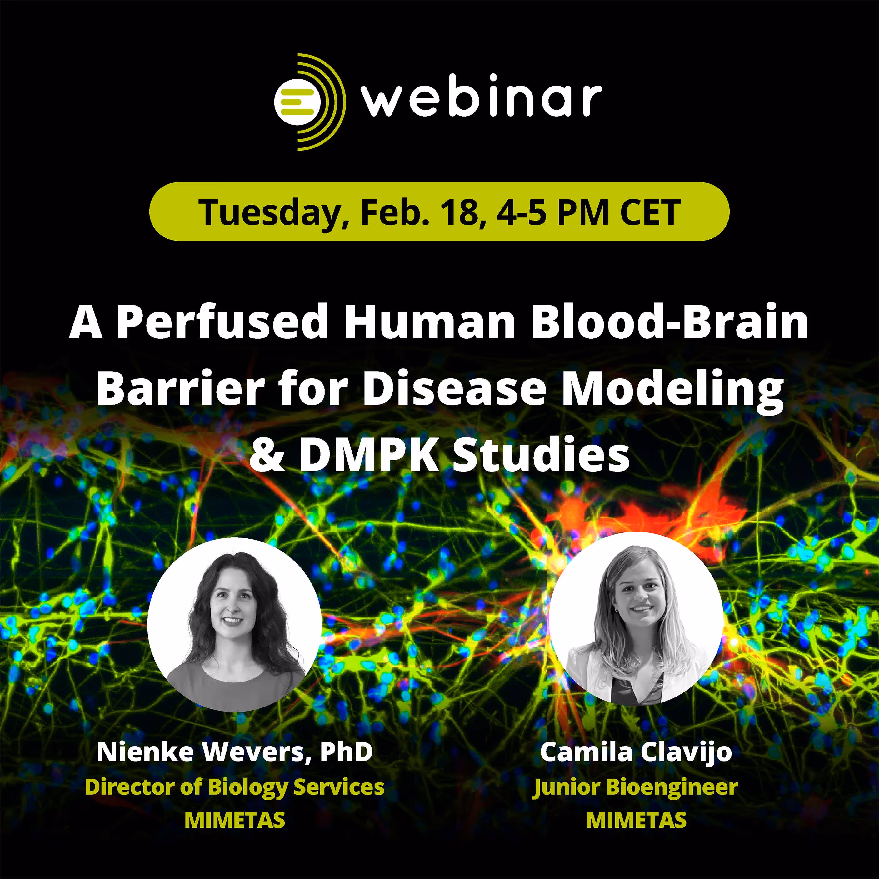 Webinar on human blood-brain barrier modeling with two researchers