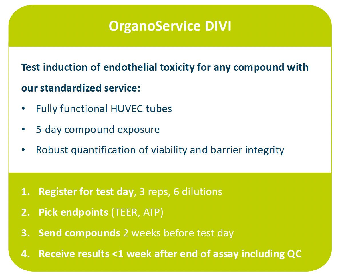 PLACEHOLDER 08_organoservices-divi