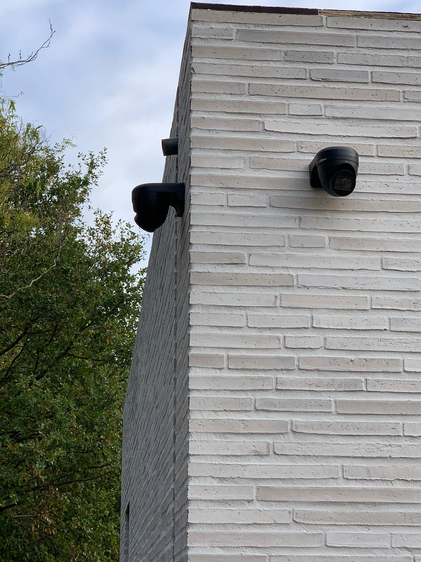 Buitendetectie Rotselaar
