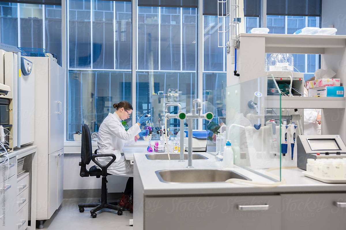 image of an inspiration board for logo design