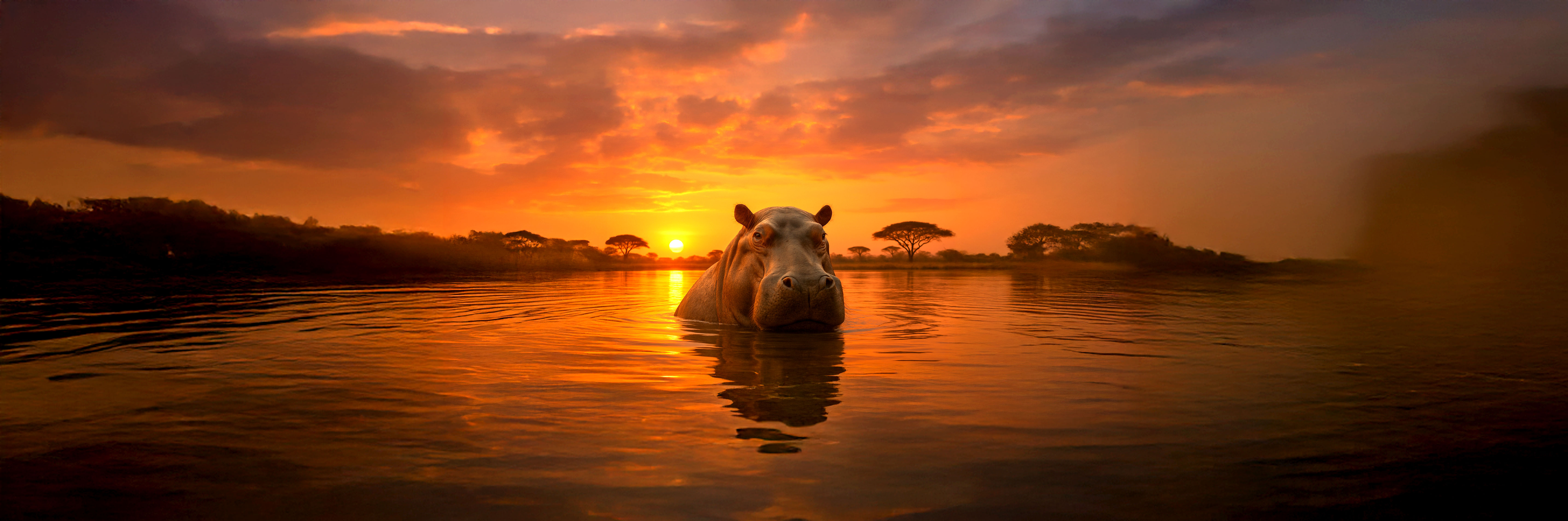 Non sforzatevi di rimanere a galla