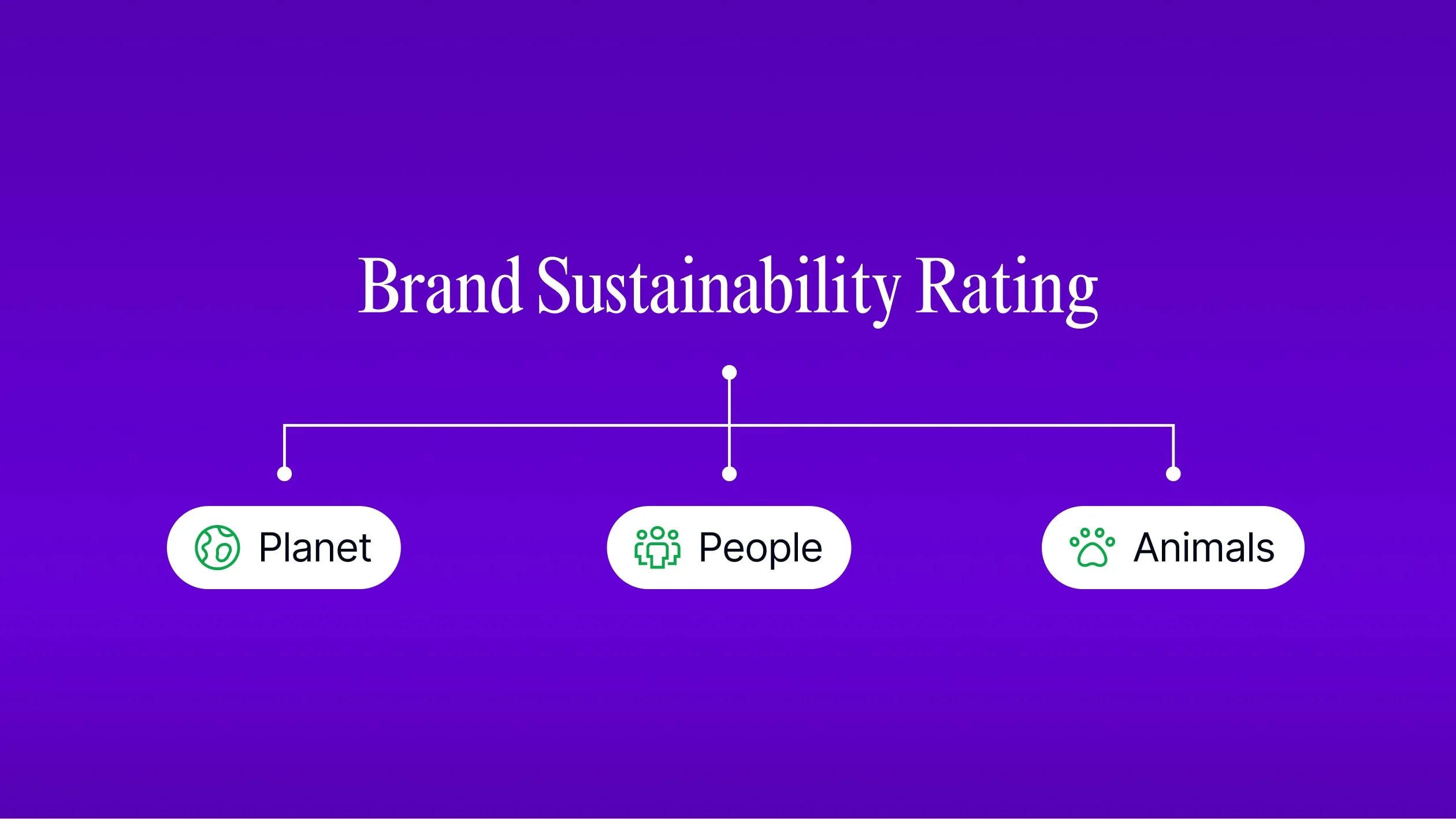 Purple background featuring the text "Brand Sustainability Rating" prominently displayed.