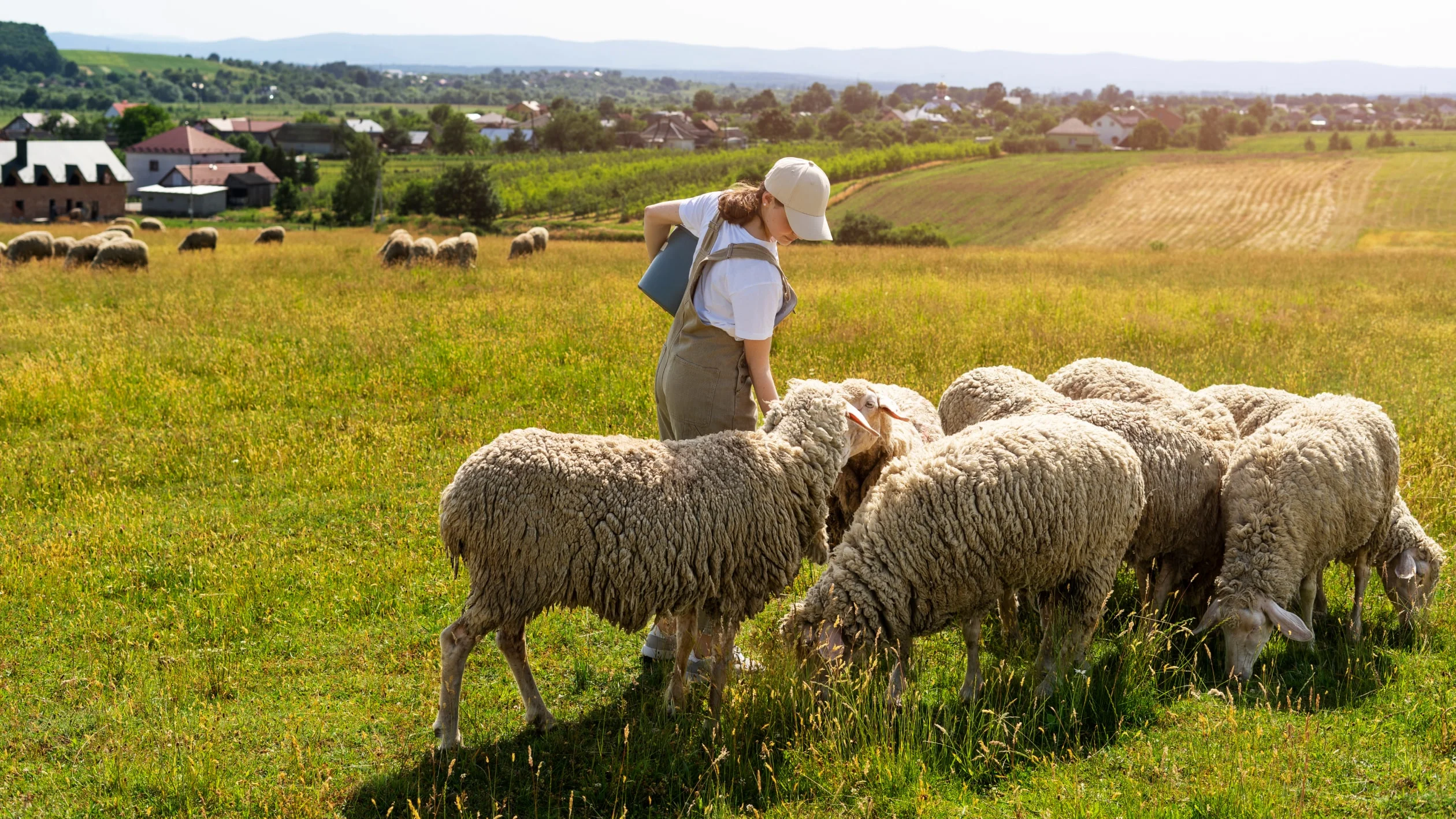 A woman stands in a field, feeding a group of sheep surrounded by grass and wildflowers.