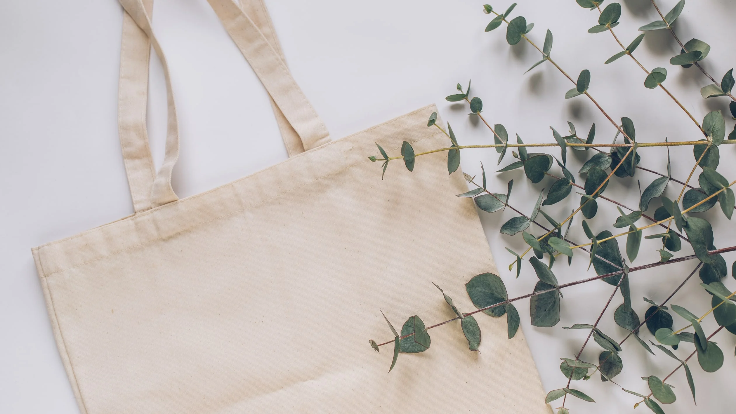 Eco-friendly tote bag featuring a design of eucalyptus leaves on a natural fabric background.