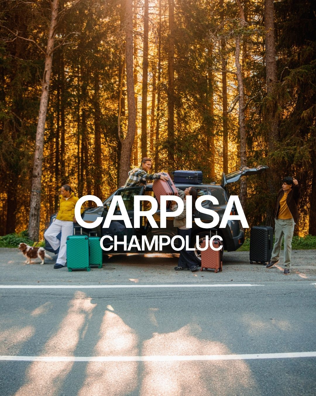 CARPISA