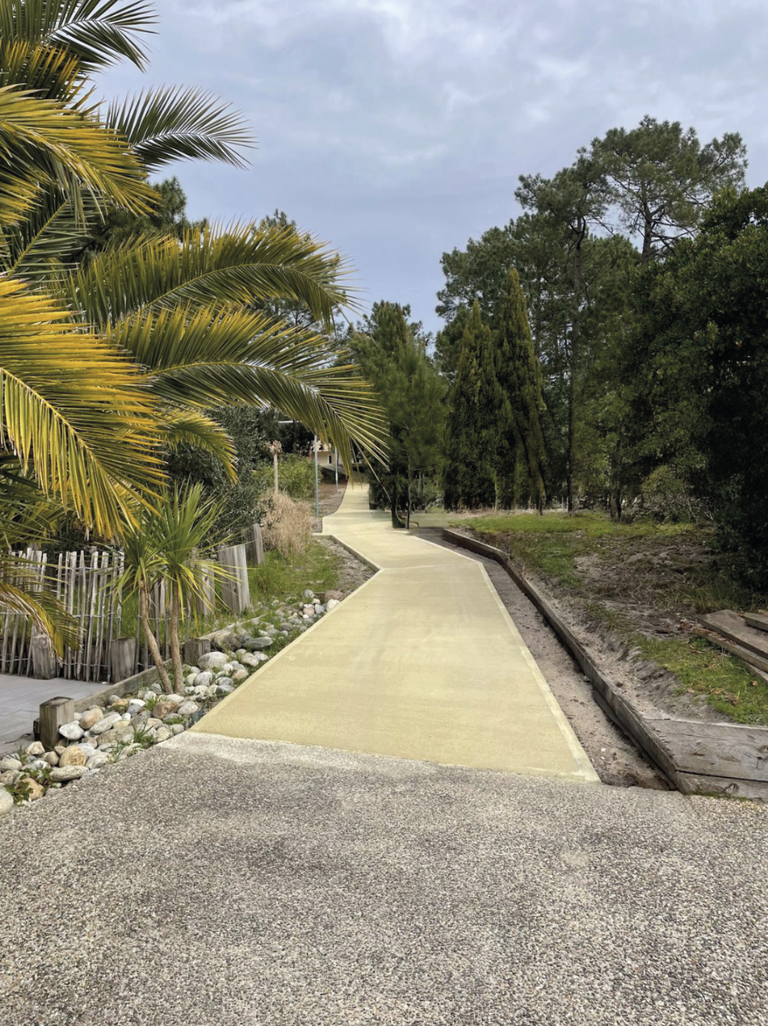 Portfolio Image