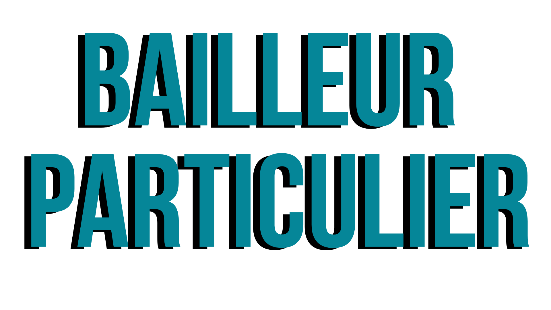 logo de bailleurparticulier.com