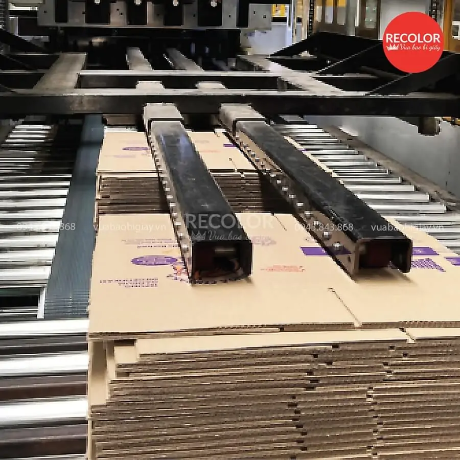 RECOLOR được biết đến là đơn vị gắn liền với sự tin tưởng và chất lượng trong ngành in ấn bao bì.