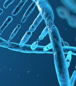 Laboratory testing of blood samples for longevity and biological age markers