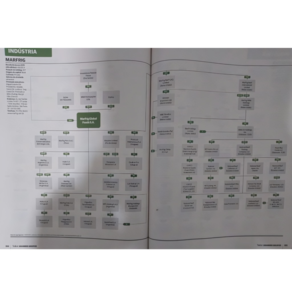 Estrutura de Capital e Controle da Marfrig. Valor Grandes Grupos