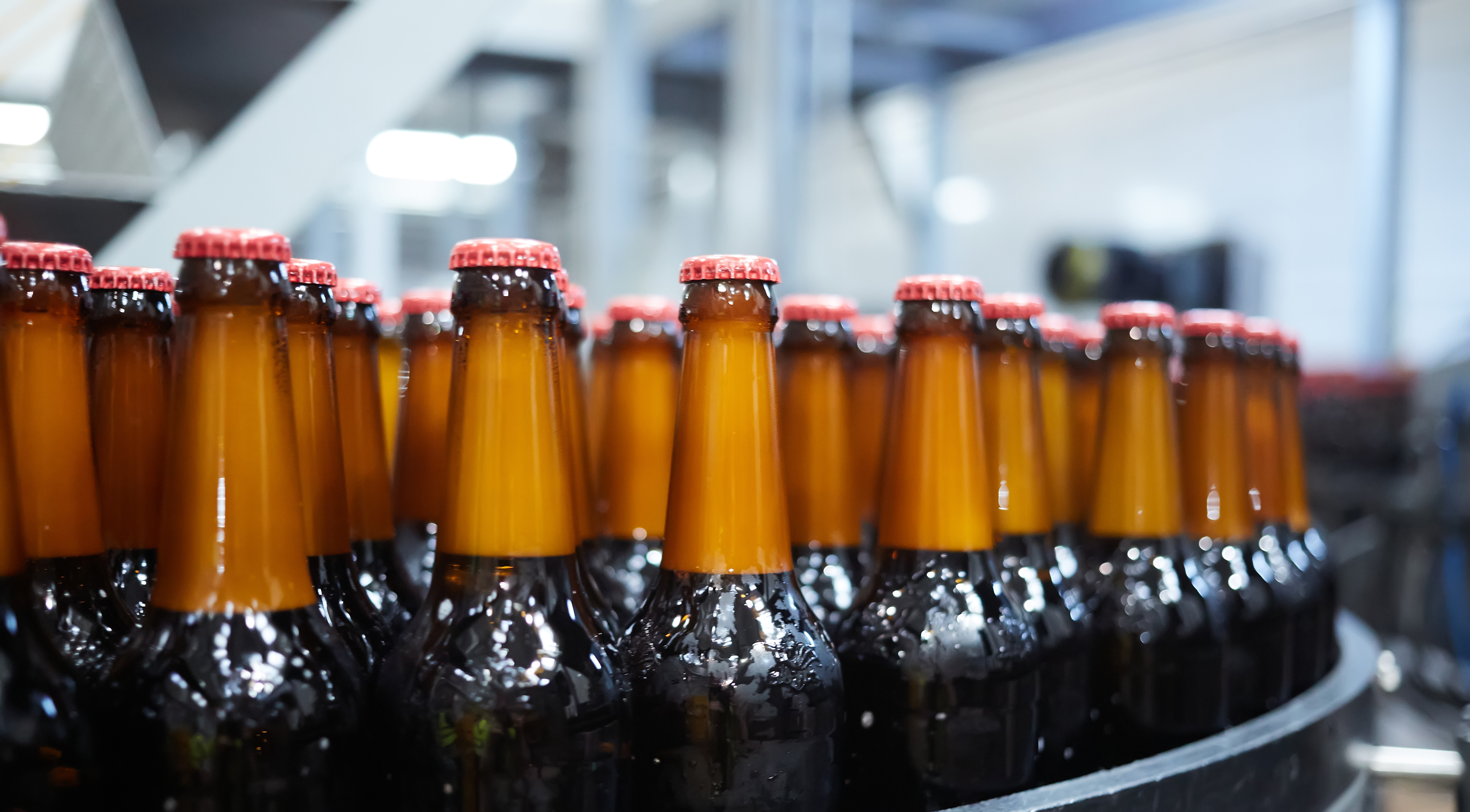 image of the restaurant history display (for a japanese restaurant)