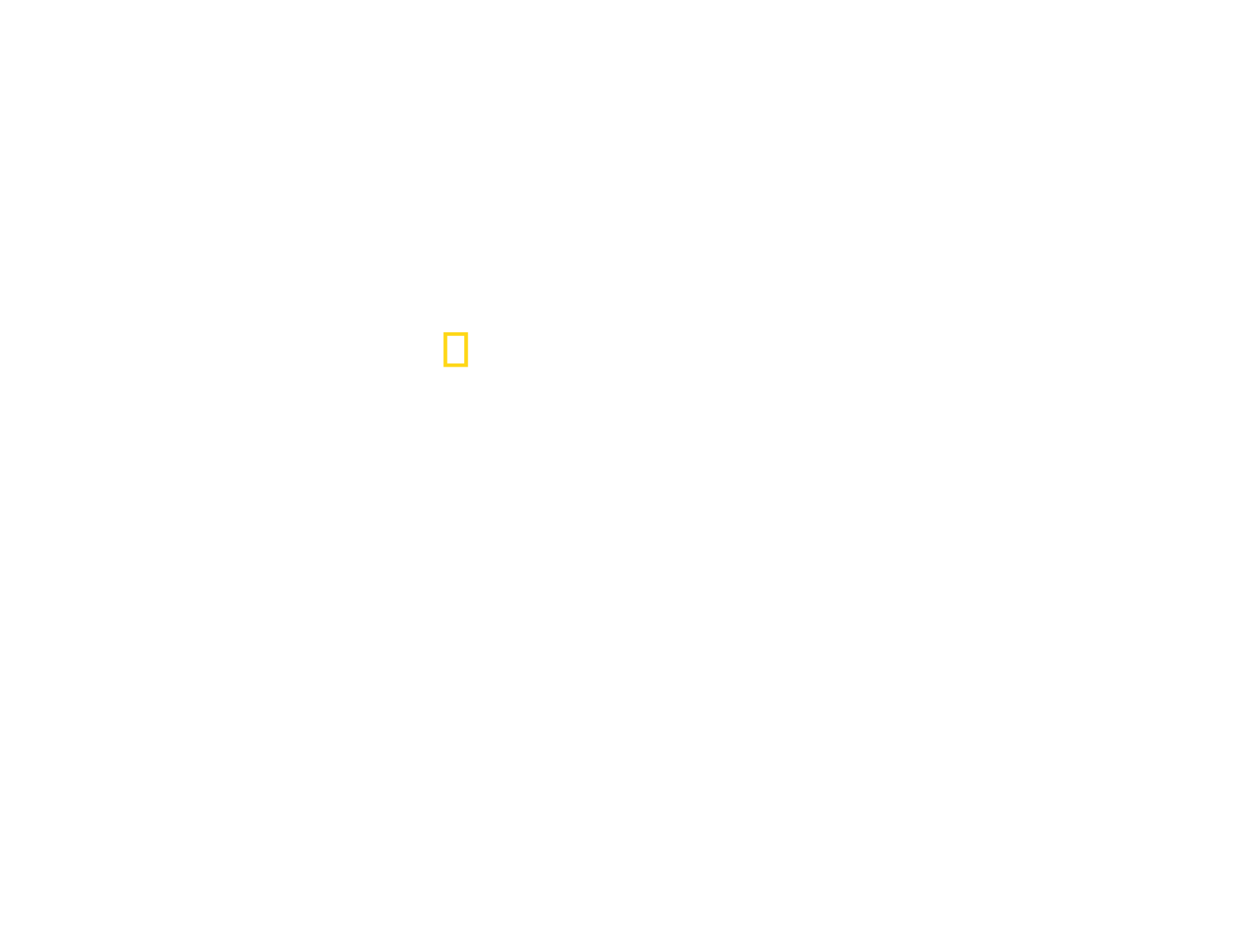 National Geographic Traveller Spa and Wellness Collection 2024 feature badge