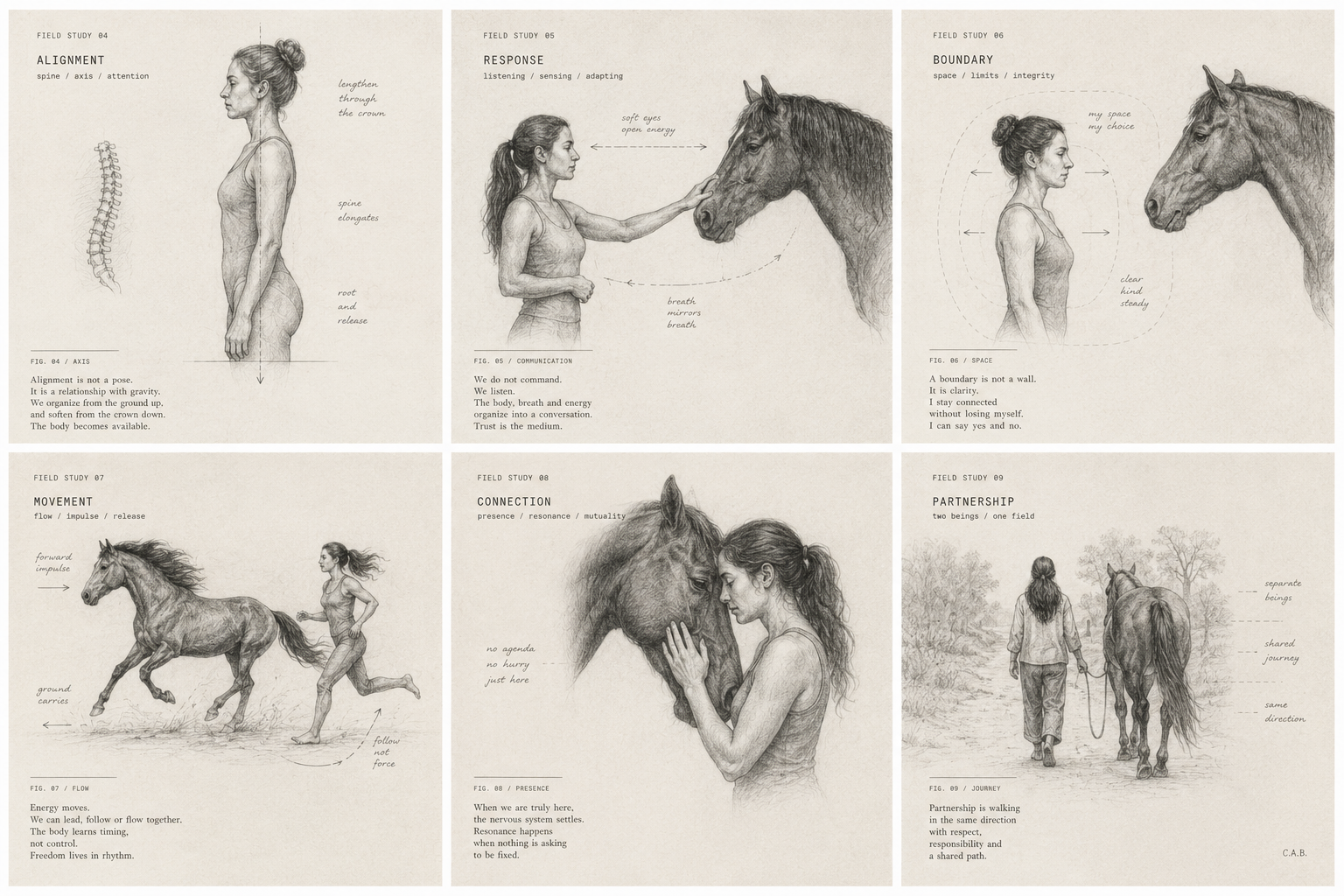 Illustrated field studies on alignment, response, boundaries, movement, connection and partnership with horses