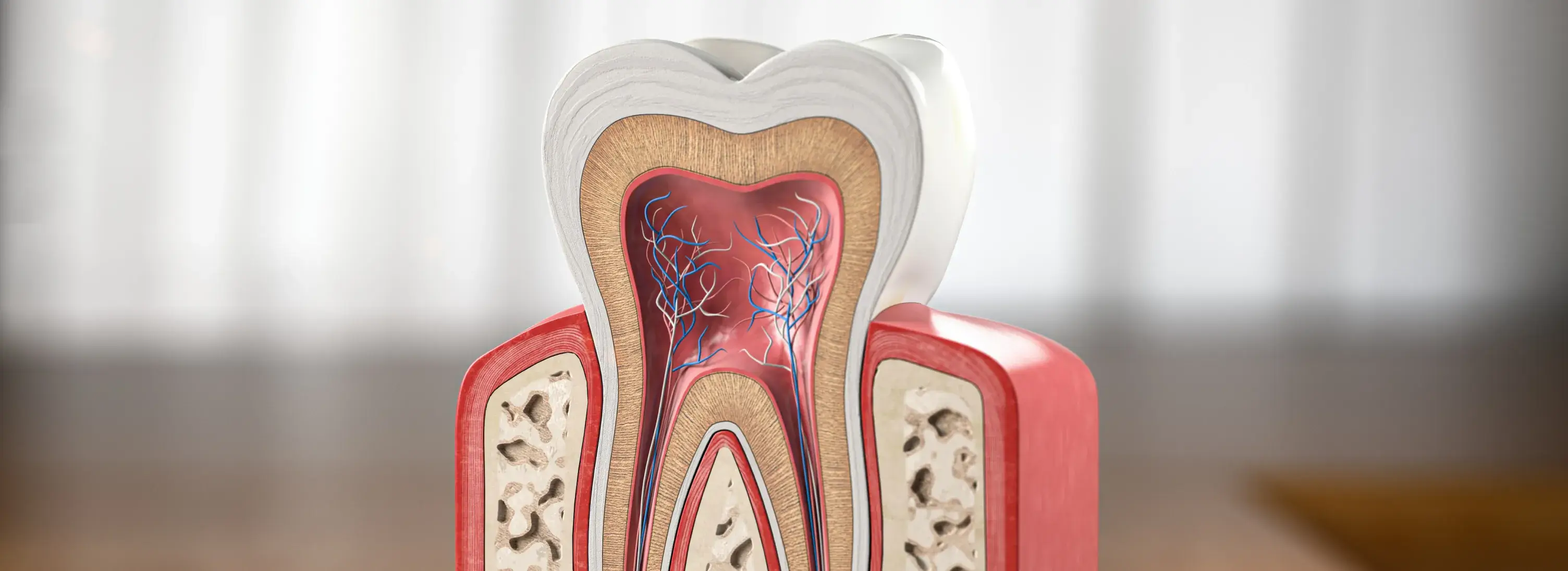  Dynamic Dental