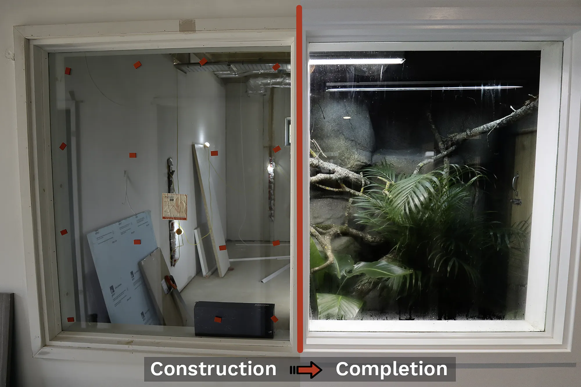 New College Swindon: an animal enclosure shown during construction and after completion