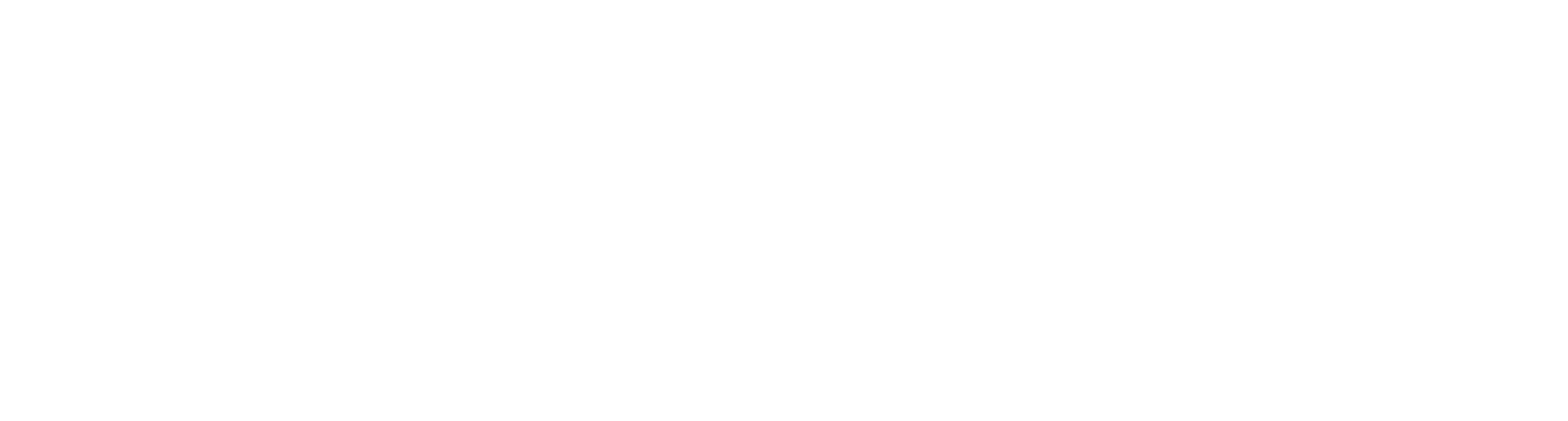 FiberUnitedAustria Logo