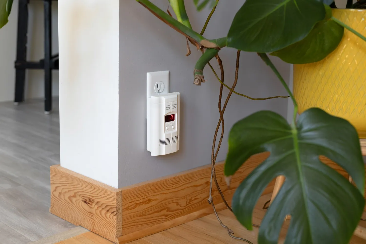 Carbon monoxide detector plugged into wall outlet displays “0” near green plant and gray wall.