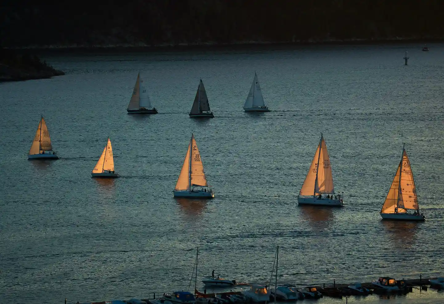 boats