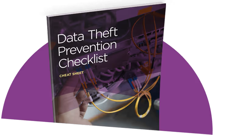 i-Sight-3D-Report-Cover-Header-Data-Theft-Prevention-Checklist