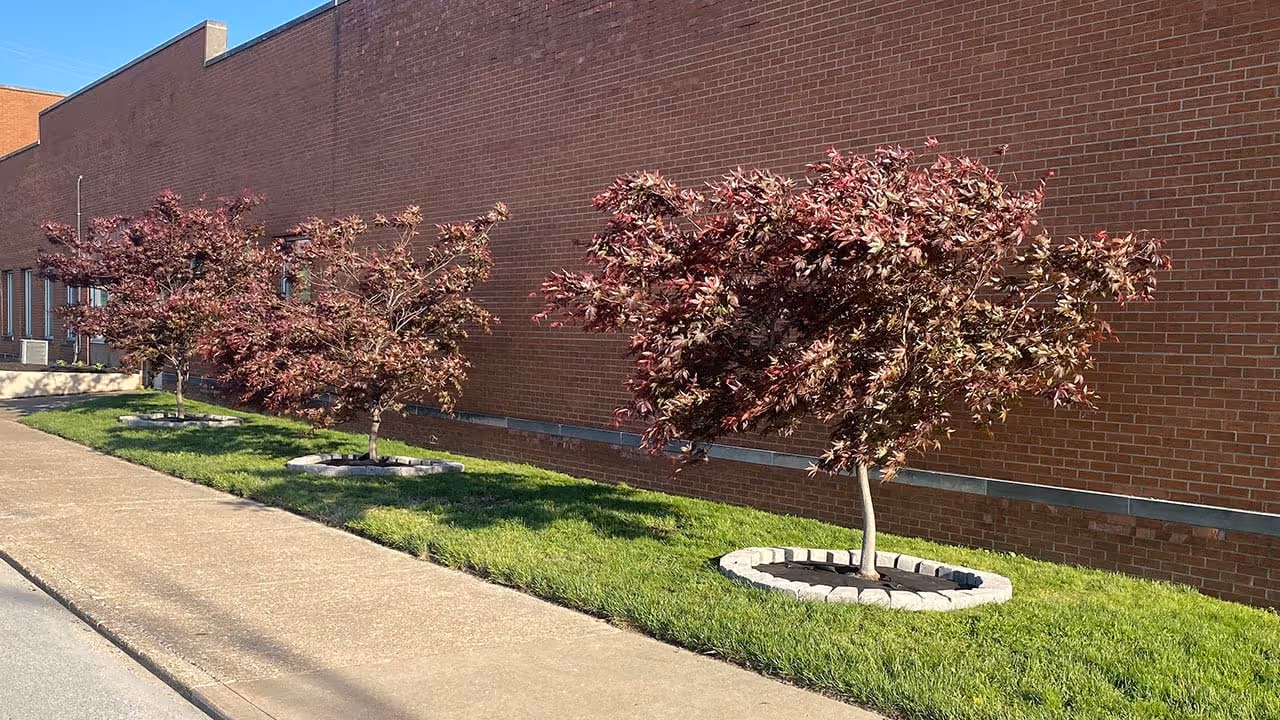 Seasonal landscape cleanup Evansville area