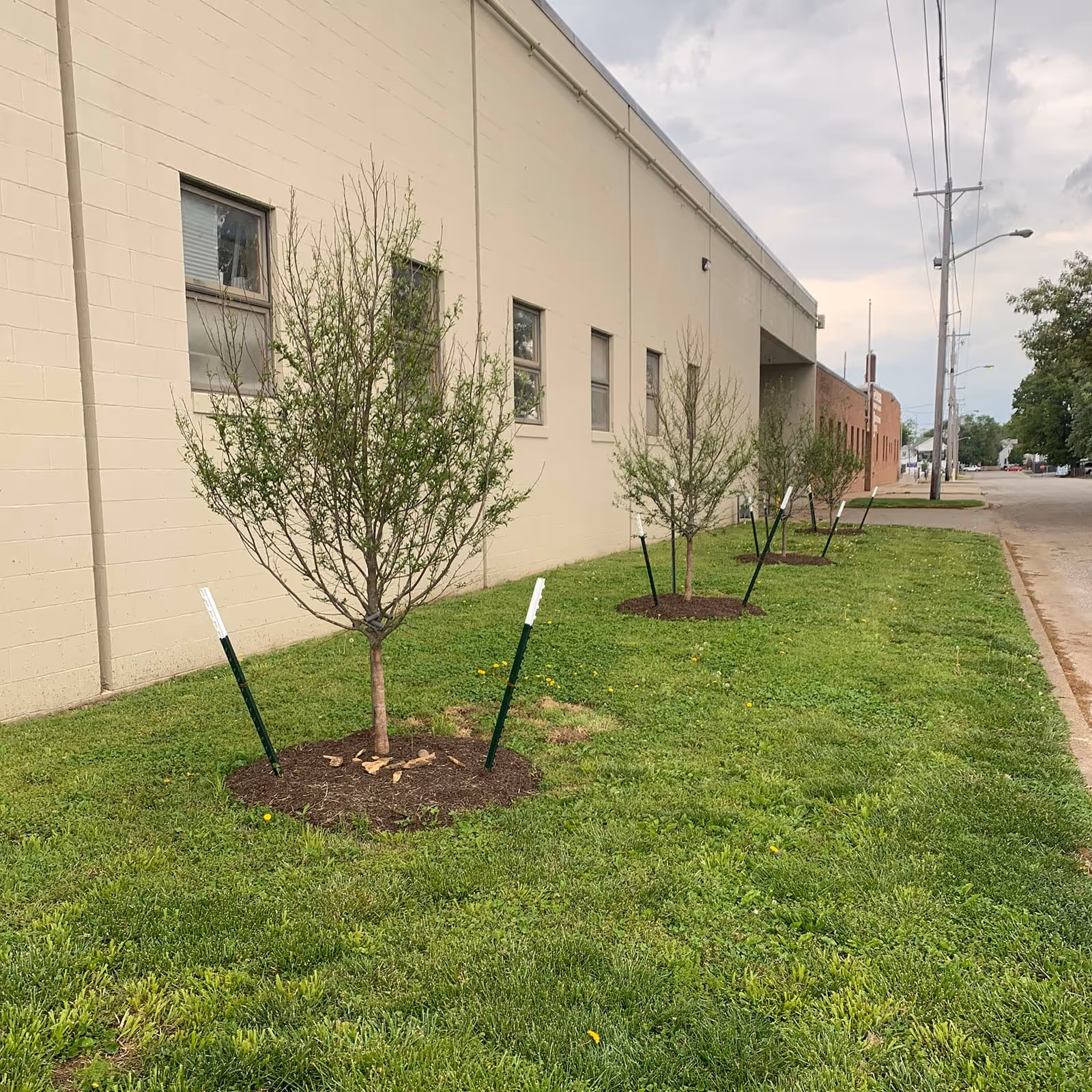 Commercial landscape installation Evansville
