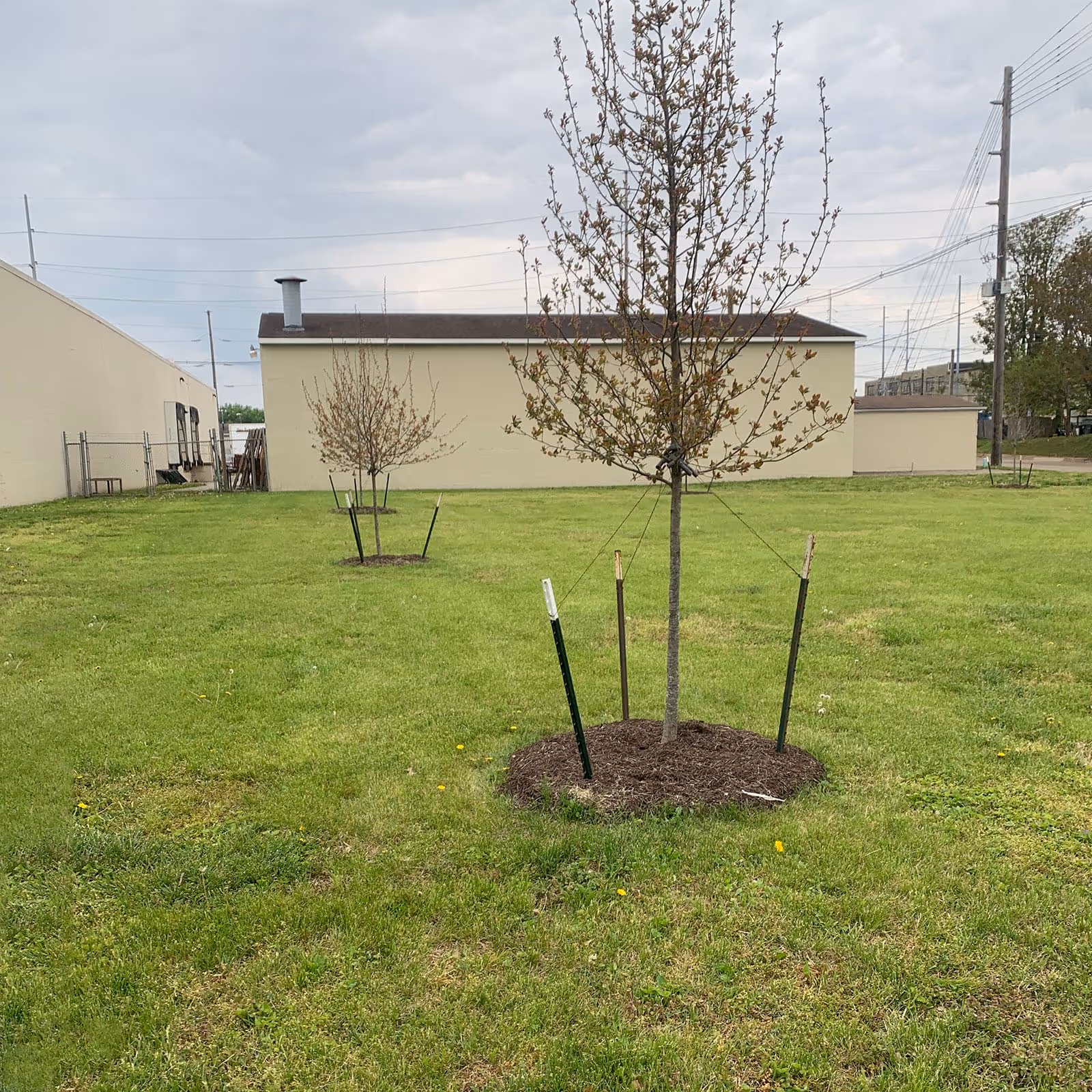 Municipal lawn maintenance in Newburgh, Indiana
